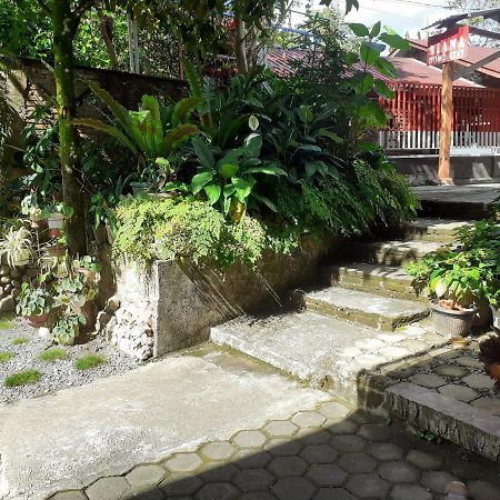 Riana'S Homestay Rantepao Exterior foto